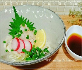 *おろしぶっかけうどん*