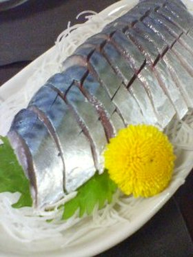 本格派! 魚屋さんのしめ鯖