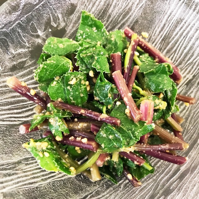 浜防風 はまぼうふう のごま和え レシピ 作り方 By Asamimimi クックパッド 簡単おいしいみんなのレシピが361万品 浜防風 はまぼうふう のごま和え レシピ 作り方 By Asamimimi クックパッド 簡単おいしいみんなのレシピが361万品