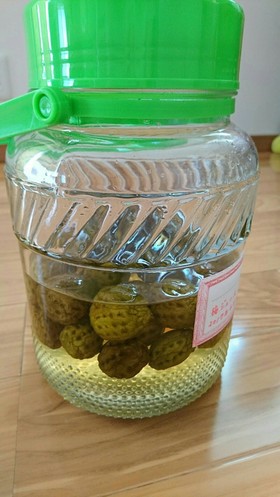 手作り簡単梅ジュース