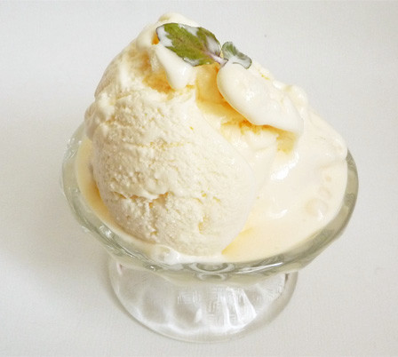 ヨーグルトアイスクリームの画像