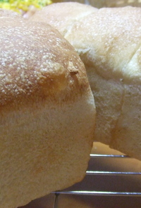リーンタイプのミニ山形パン