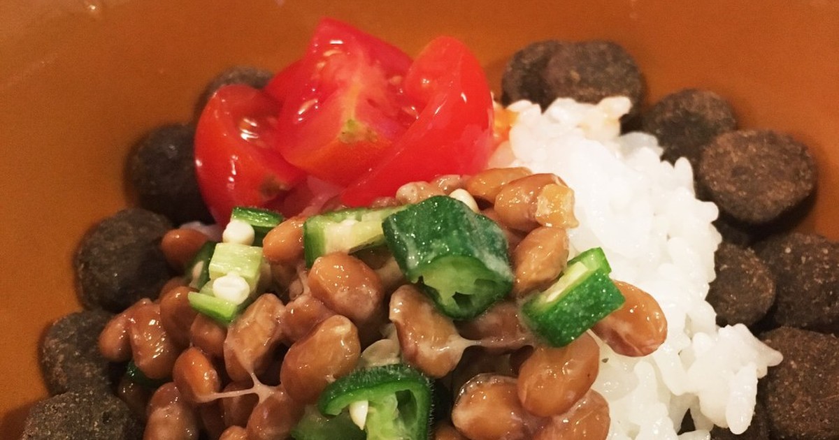 犬ごはん 納豆オクラ丼 レシピ 作り方 By さんしーごはん クックパッド