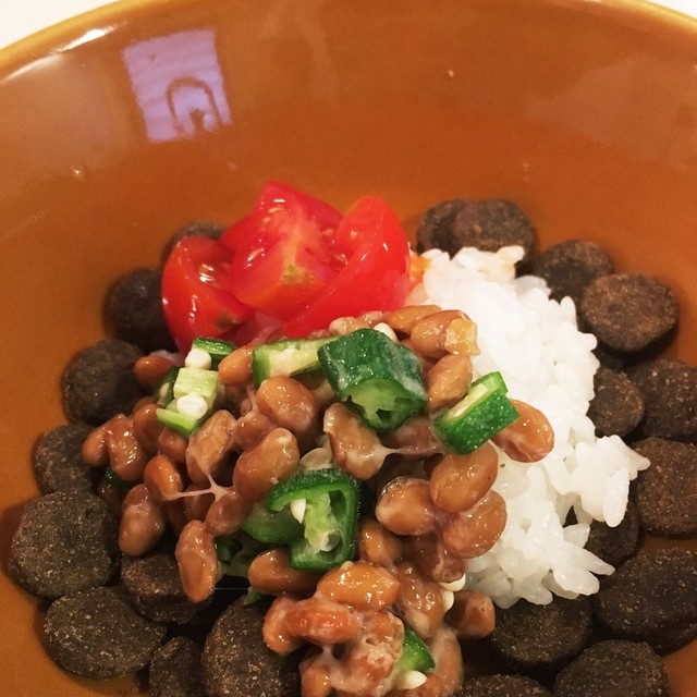 犬ごはん 納豆オクラ丼 レシピ 作り方 By さんしーごはん クックパッド 簡単おいしいみんなのレシピが352万品 犬ごはん 納豆オクラ丼 レシピ 作り方 By さんしーごはん クックパッド 簡単おいしいみんなのレシピが352万品
