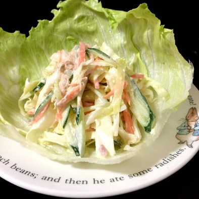 常備出来る生野菜サラダ☆の写真