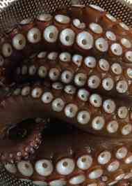 みんなが作ってる たこ 茹で方のレシピ クックパッド 簡単おいしいみんなのレシピが354万品