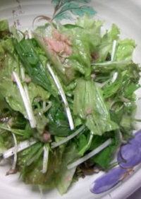 ツナと水菜のサラダ
