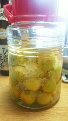 梅酒(日本酒版)