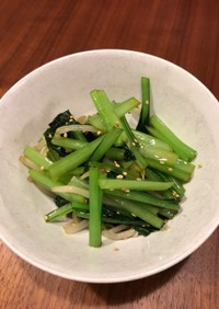 簡単副菜！モヤシと小松菜のナムル