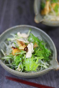 ピリ辛、水菜と春雨のサラダ・中華風。