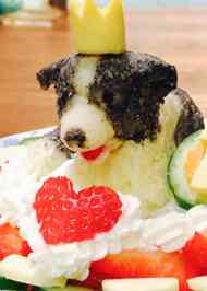 みんなが作ってる ケーキ 犬用 野菜のレシピ クックパッド 簡単おいしいみんなのレシピが350万品