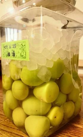 確実・丁寧な梅酒の作り方。