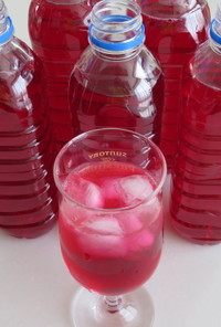 赤紫蘇ジュースの素