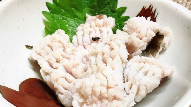 ハモの落とし 湯引き 捌き方つき レシピ 作り方 By まるたまん クックパッド 簡単おいしいみんなのレシピが356万品 ハモの落とし 湯引き 捌き方つき レシピ 作り方 By まるたまん クックパッド 簡単おいしいみんなのレシピが356万品