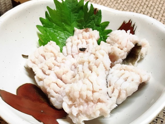 ハモの落とし 湯引き 捌き方つき レシピ 作り方 By まるたまん クックパッド 簡単おいしいみんなのレシピが356万品 ハモの落とし 湯引き 捌き方つき レシピ 作り方 By まるたまん クックパッド 簡単おいしいみんなのレシピが356万品