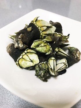 簡単 亀の手の塩茹で