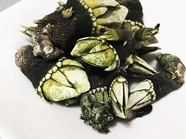 簡単 亀の手の塩茹で レシピ 作り方 By こやじ女将 クックパッド 簡単おいしいみんなのレシピが356万品