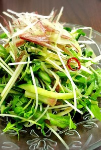 【夏バテ解消】薬味野菜のさっぱりサラダ