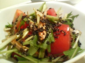 カルシウム摂ろう☆煮干し入りサラダ