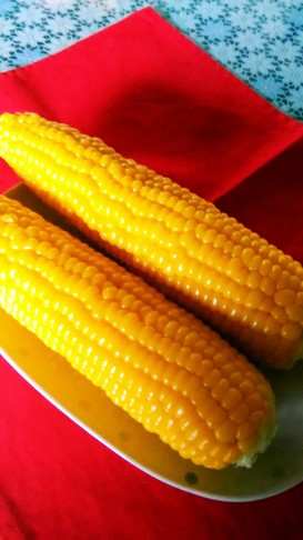 家の、トウキビの茹で方です!