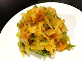 天かすが決め手✨簡単ネギの辛炒め