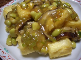 揚げだし豆腐の牡蠣油ソース掛け