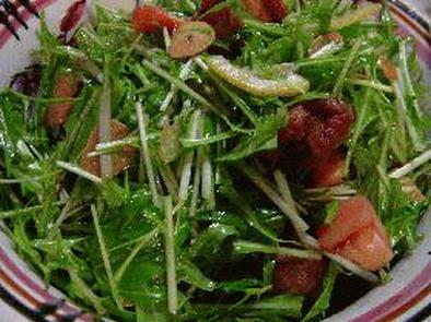 壬生菜のシャキシャキサラダの写真