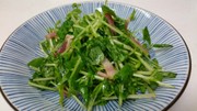 簡単うまうま! 豆苗ベーコンサラダの写真