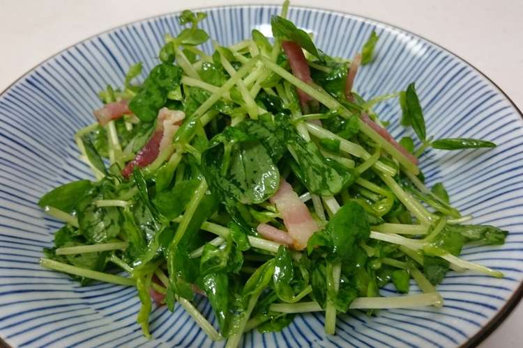 簡単うまうま 豆苗ベーコンサラダ レシピ 作り方 By Mutsumi クックパッド 簡単おいしいみんなのレシピが352万品
