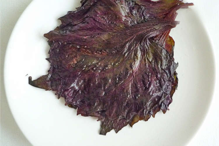赤紫蘇の保存方法だワン レシピ 作り方 By しろポチ クックパッド 簡単おいしいみんなのレシピが365万品