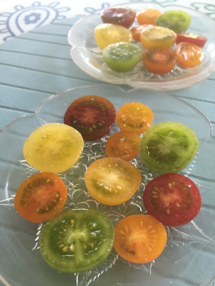 プチトマトのカラフル水玉サラダの画像