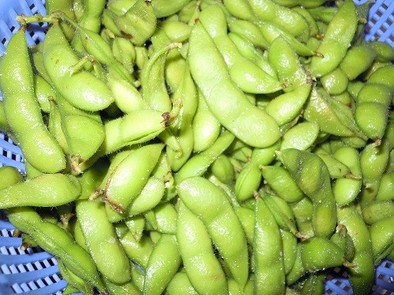 省エネ節約枝豆の茹で方の写真