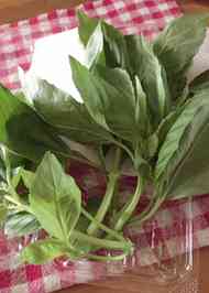 みんなが作ってる バジルオイル 保存のレシピ クックパッド 簡単おいしいみんなのレシピが357万品