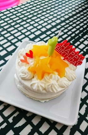 1歳のお誕生日に☆赤ちゃんケーキ