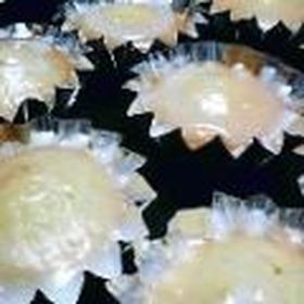 フレッシュレモンのレモンケーキ