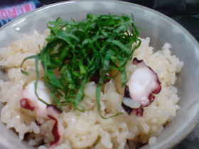 ぷりぷりたこで♪たこご飯