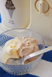 2種（バニラ＆チョコ）のアイスクリーム