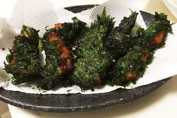 青シソ消費の料理 レシピ 作り方 By クウちゃ3 クックパッド 簡単おいしいみんなのレシピが375万品