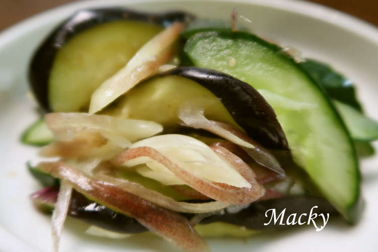 簡単 ナスとキュウリとミョウガの塩もみ レシピ 作り方 By Mackyのレシピ クックパッド 簡単おいしいみんなのレシピが357万品