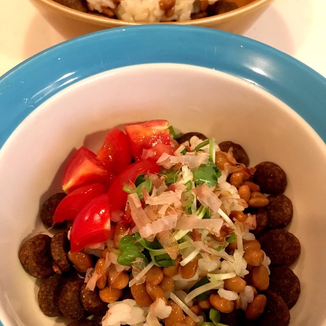 犬ごはん 納豆混ぜご飯 レシピ 作り方 By さんしーごはん クックパッド 簡単おいしいみんなのレシピが352万品