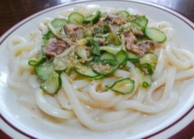 超☆簡単❤冷や汁風ぶっかけサラダうどん