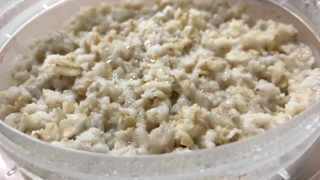 お湯さえあれば 10分でオートミール レシピ 作り方 By まいひろ クックパッド 簡単おいしいみんなのレシピが350万品