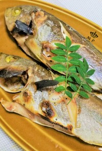 【釣食】イサキの塩焼き