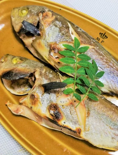 【釣食】イサキの塩焼きの写真