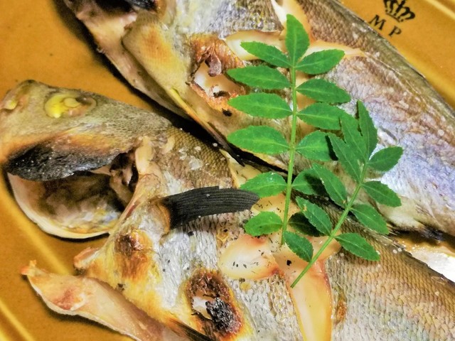 釣食 イサキの塩焼き レシピ 作り方 By Puyome クックパッド 簡単おいしいみんなのレシピが354万品