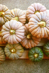 会津伝統野菜　小菊かぼちゃのはさみ揚げ