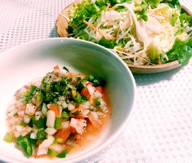 野菜たっぷり摂れる!ヘルシーサルサソース