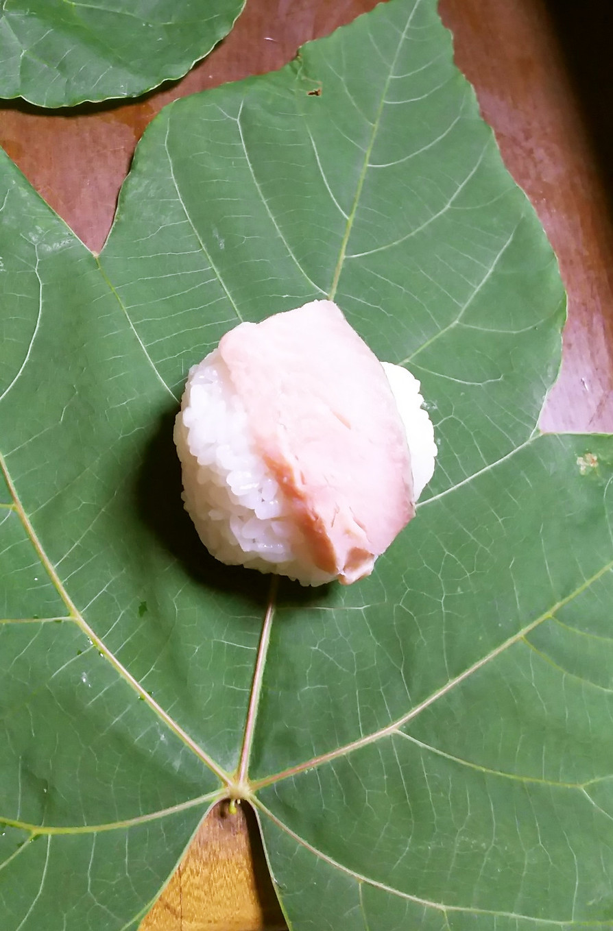 アブラギリの葉っぱ寿司の画像