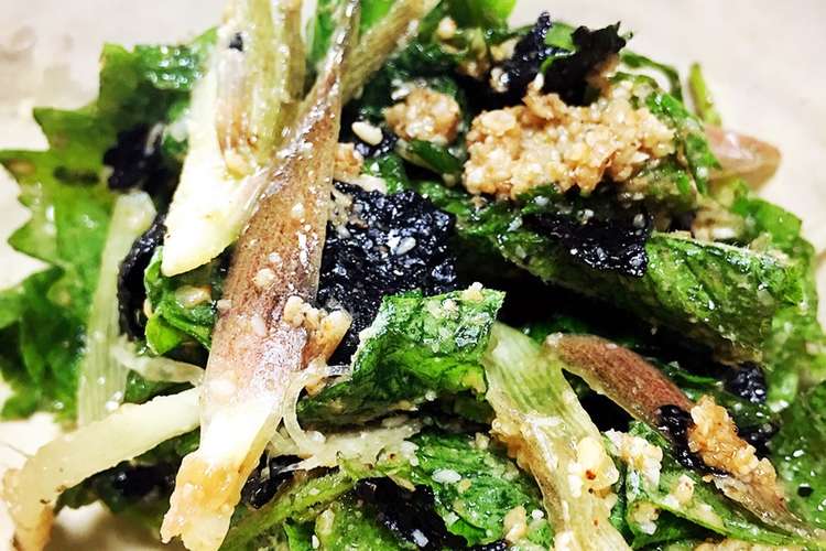 大葉みょうが大量消費 薬味の海苔ナムル レシピ 作り方 By まぐわーと クックパッド 簡単おいしいみんなのレシピが352万品