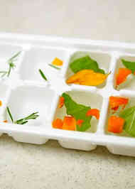 みんなが作ってる ナスタチウムのレシピ クックパッド 簡単おいしいみんなのレシピが351万品